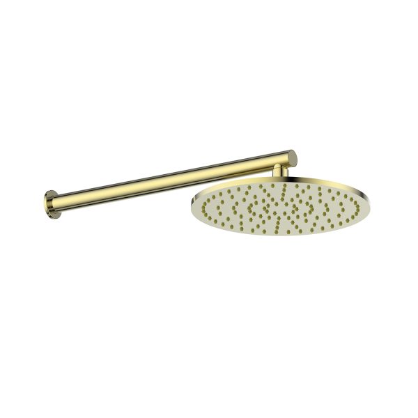 Lavish Brass Wall Shower