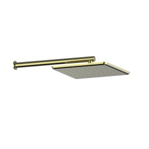 1860016 Skyla Wall Shower in Brushed Brass