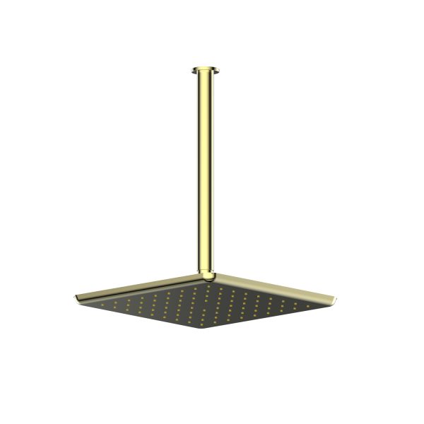 1860026 Skyla Ceiling Shower in Brushed Brass